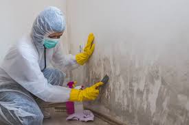 Why You Should Choose Our Mold Remediation Services in Kelseyville, CA